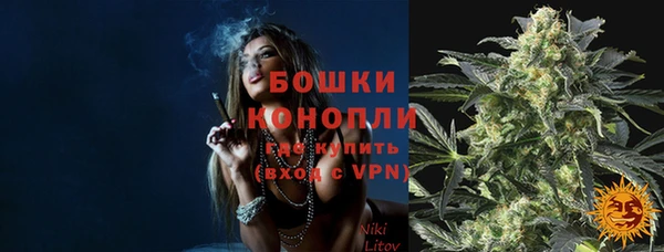 стафф Зерноград