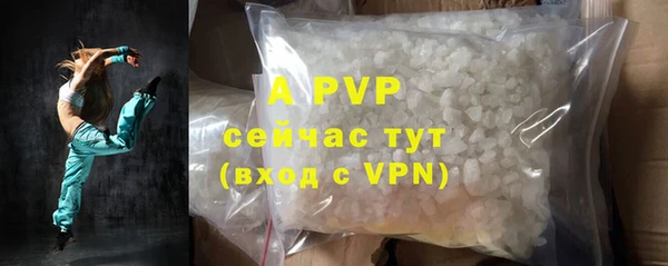стафф Зерноград