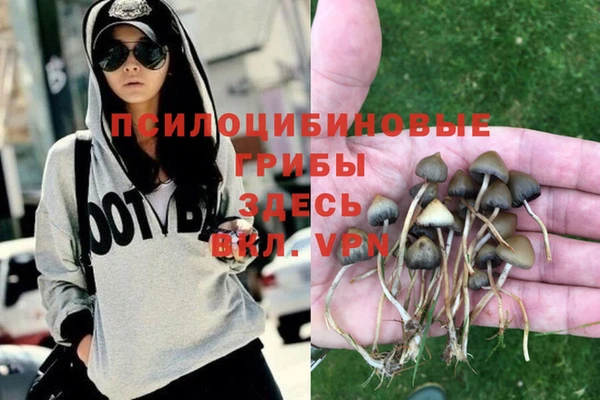 стафф Зерноград