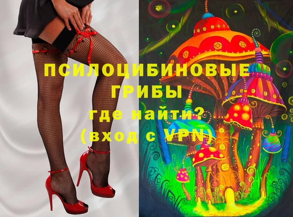 СК Зеленодольск