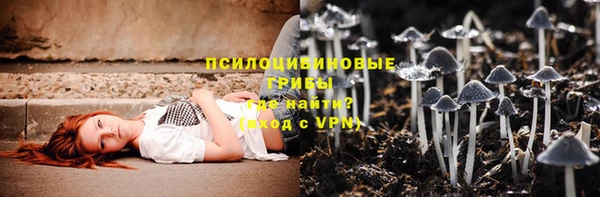 стафф Зерноград